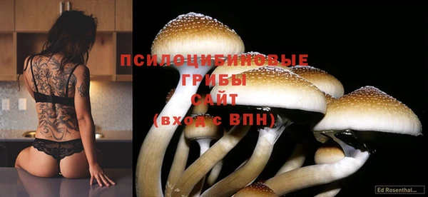 мескалин Армянск