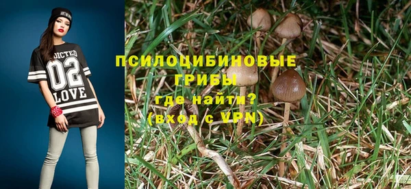 каннабис Арсеньев