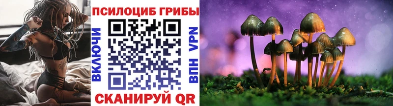 Галлюциногенные грибы Psilocybe  купить  цена  Лысково 